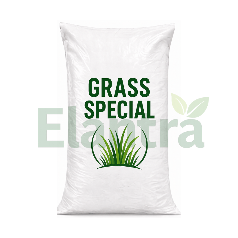 GRASS SPECIAL